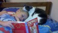 /album/c%c3%a3es%20e%20gatos/a427985-256532994424308-159928490751426-586221-1695965024-n-jpg/