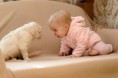 /album/c%c3%a3es%20e%20gatos/a388342-208227799254828-159928490751426-463606-1478362020-n-jpg/